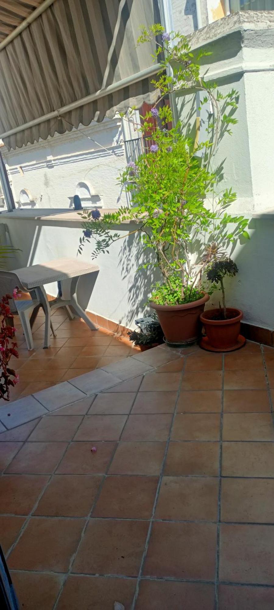 Il Nuovo San Severo Quarto foto